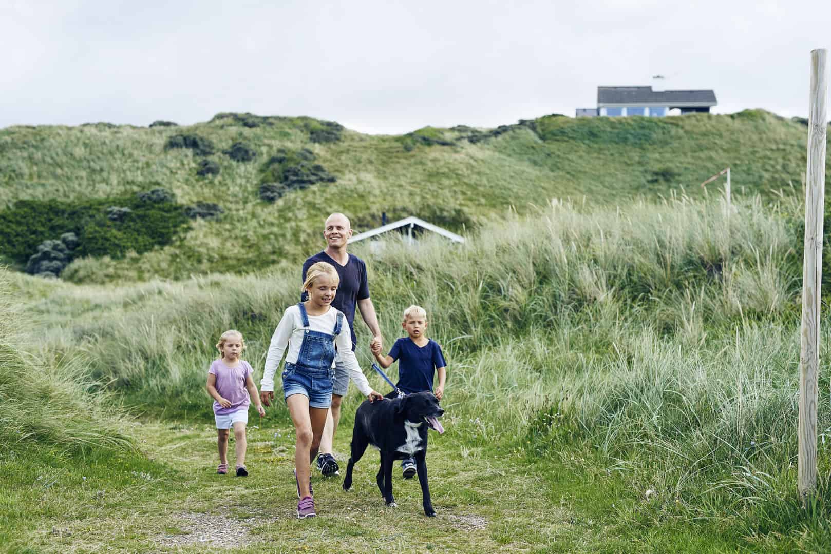 Ferienhaus Dänemark mit Hund