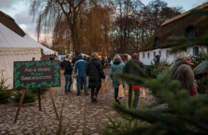 Christmas market in Denmark