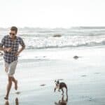 Ferienhaus mit Hund am Strand