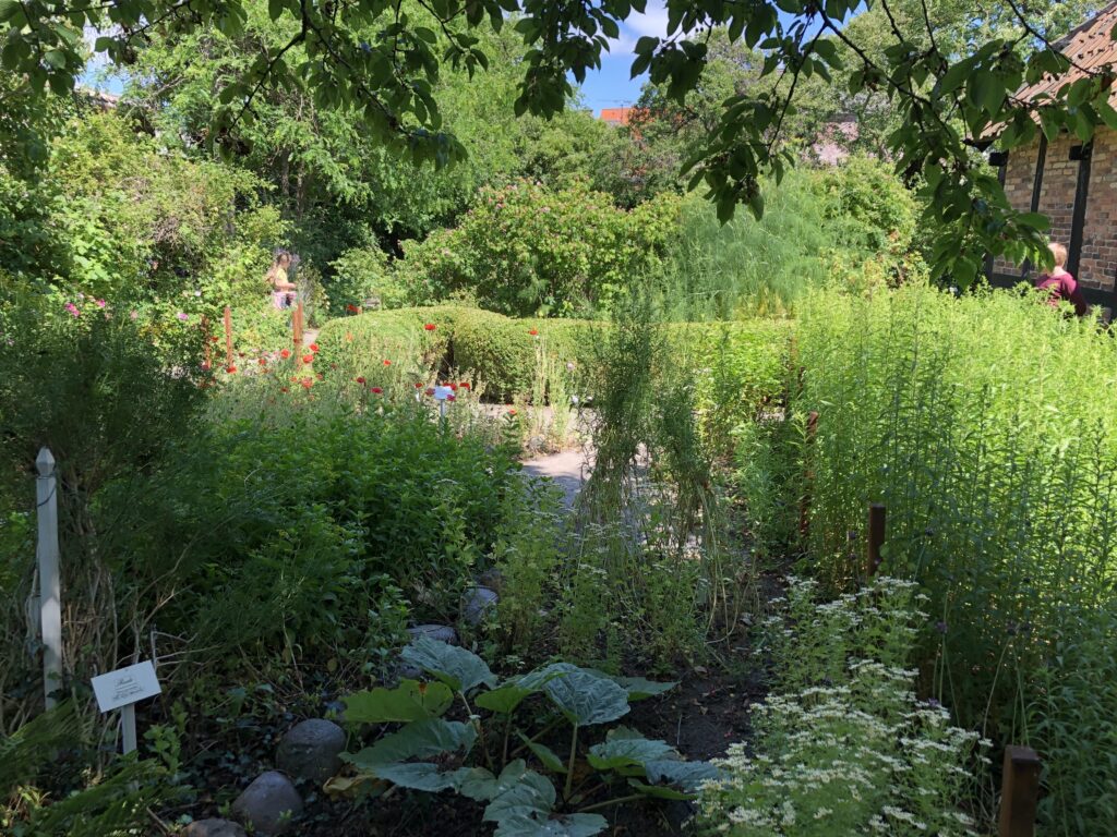 Erichsens Gard, ein toller grüner Garten voller Kräuter und Blumen. Hier ist auch schön kühl, wenn Roenne in der Hitze flimmert.